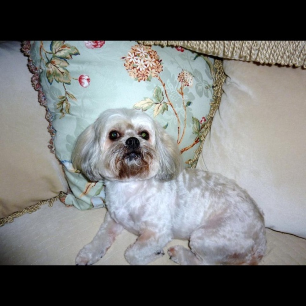 Meet your Posher, Megan